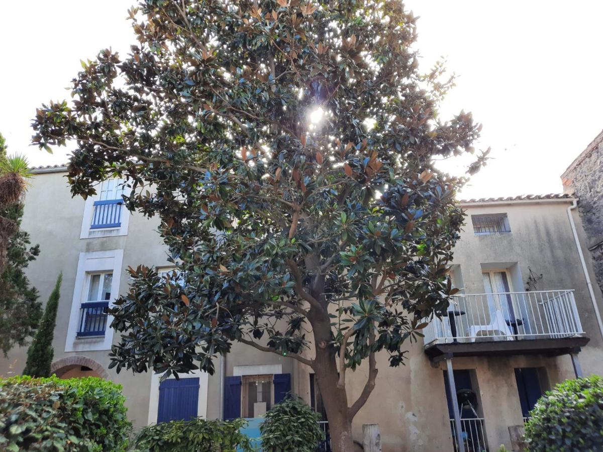 Appartement De Charme Sur Le Port De Marseillan Εξωτερικό φωτογραφία